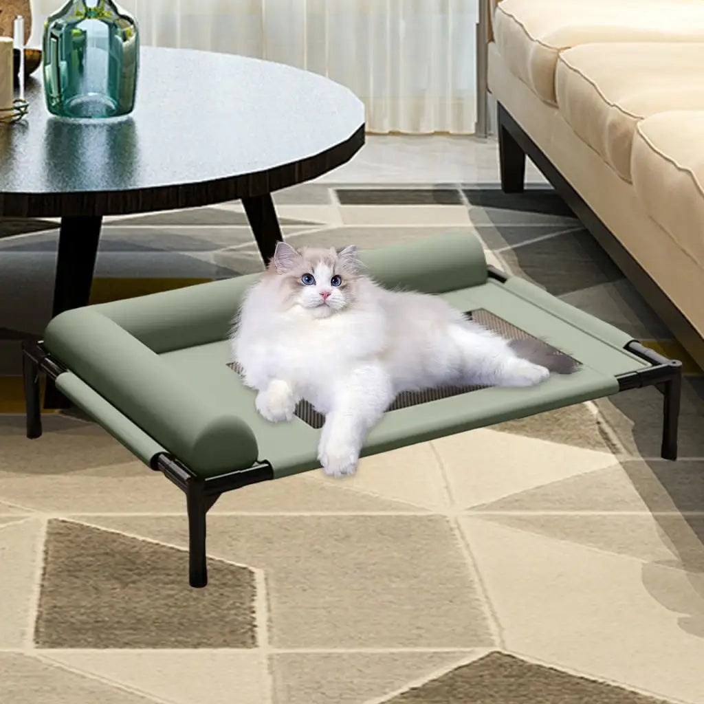 Elevated Pet Bed Durability Practical with Pillow for Small Pets Dogs Kitten Cat Dog Bed Dog Cat Bed Portable