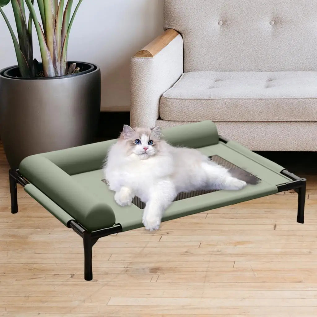 Elevated Pet Bed with Pillow Raised Dog Cot Cooling Hammock, Breathable Mesh for Small/Medium Pets Durable Practical Design