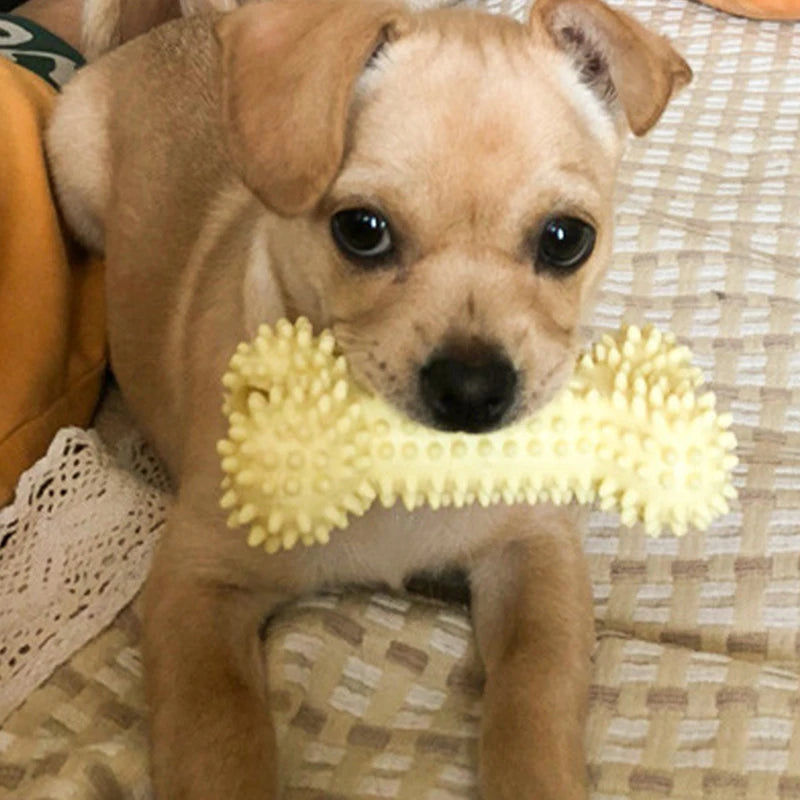 Pet Dog Toys For Small Dog Chews TPR Knot Toys Bite Resistant Molar Teeth Cleaning Dog Training Supplies Interactive Accessories