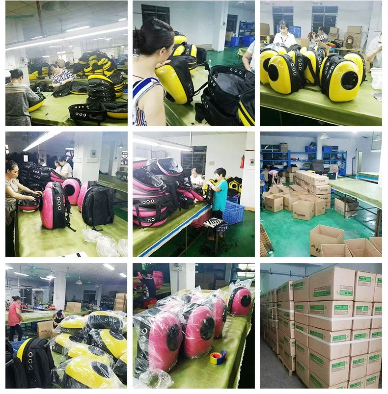 Pet Carrier Backpack with Window Transport Carrying Breathable Travel Bag Dog Space Capsule Cat Carrier