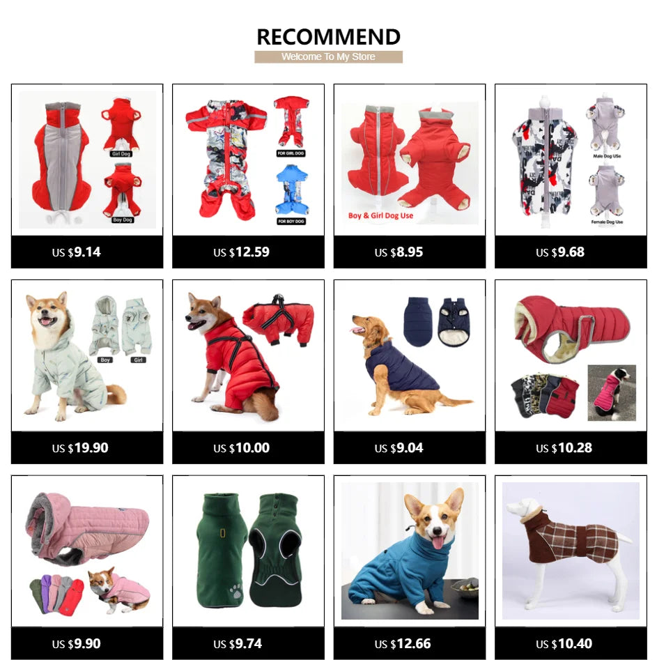 Pet Dresses for Small Dogs Female Dog Luxury Princess Dog Clothes with Bow Lace Ruffles Pink Cute Puppy Skirt for Yorkie Maltese