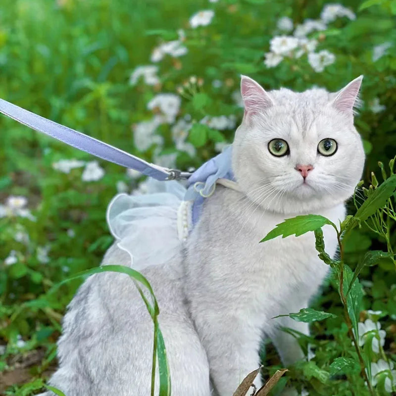 Cute Bowknot Pet Harness Leash Princess Cat Dress Costumes Nylon Kittten Dress Puppy Harness For Rabbit Teddy Cats Clothes