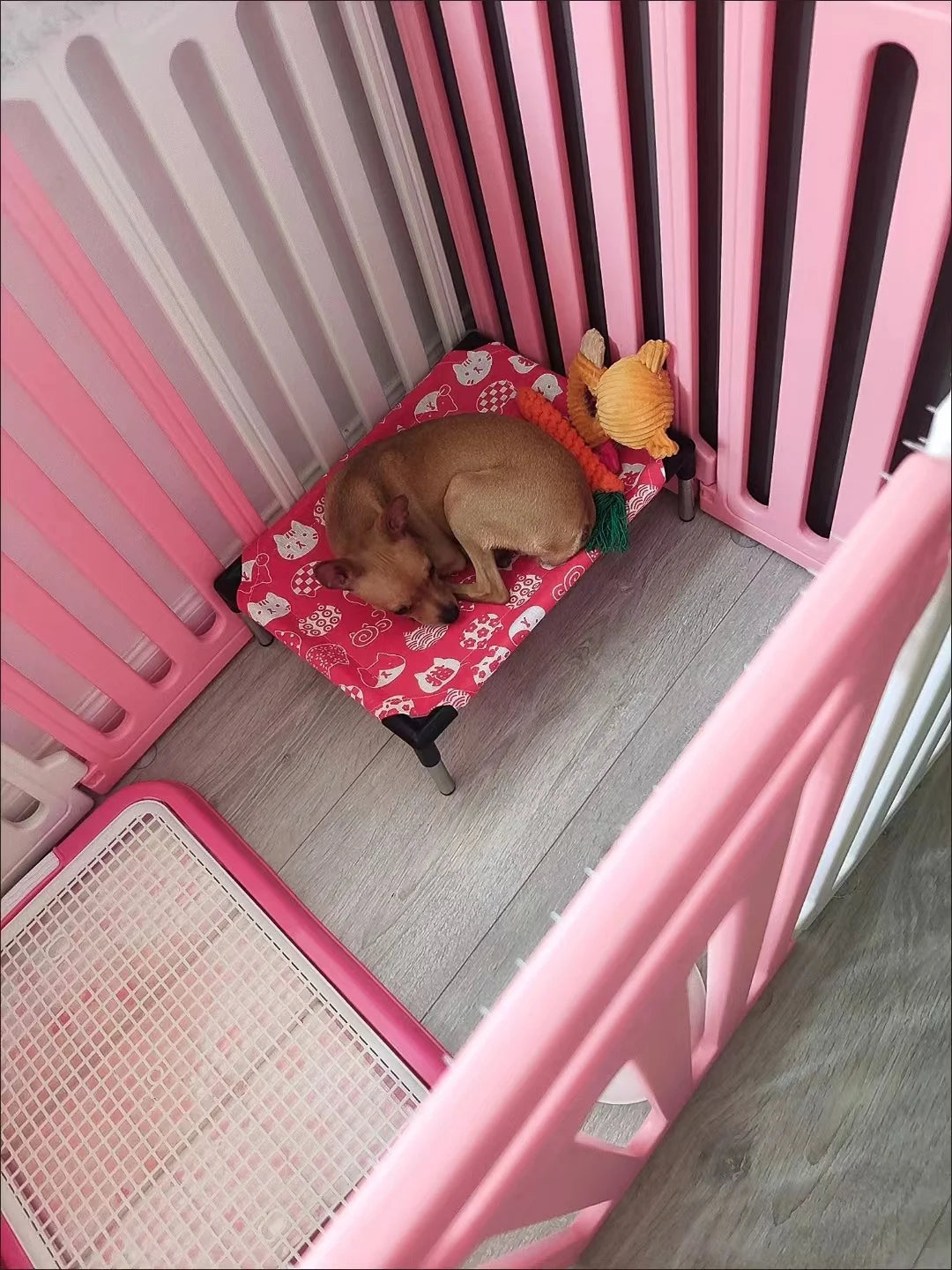 Portable Elevated Dog Bed Outdoor Pet Bed Summer Cat Bed Pet Camping Removable Washable Small Pet Hammock Outdoor Dog Bed