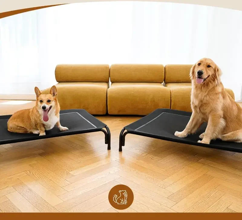 Elevated Dog Bed for Large Dogs Cooling Pet Cot Breathable Mesh Durable Frame Easy Clean Raised Pet Bed Indoor Outdoor Home