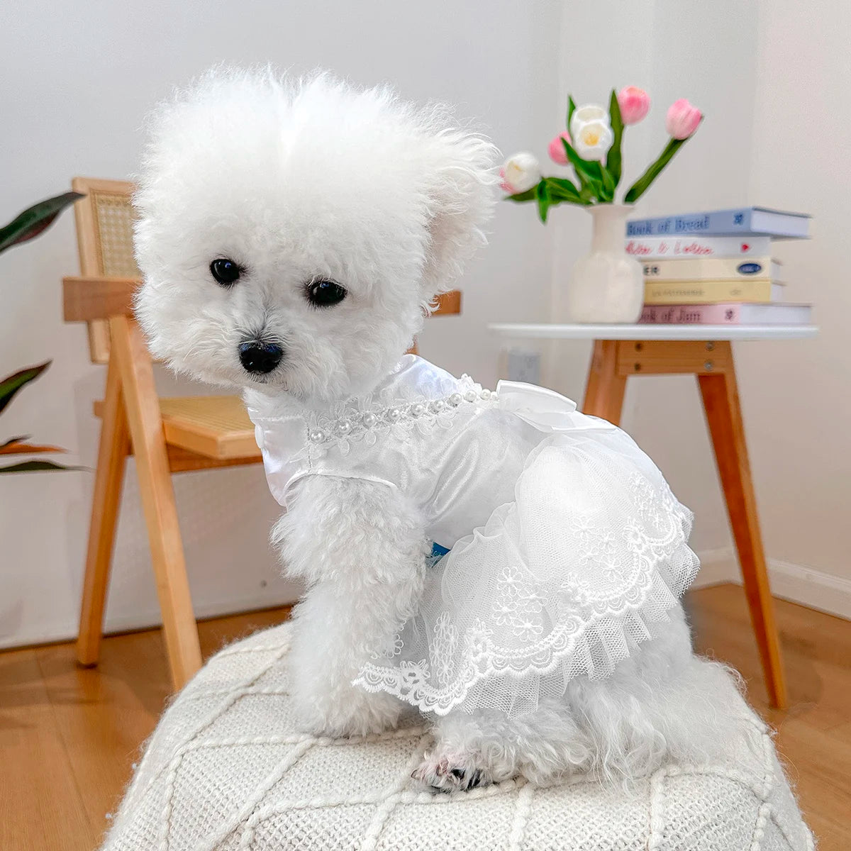 Pearlescent Wedding Dress Pet Clothes Dog Cat Anti-hair Loss Summer White Bow Princess Dress