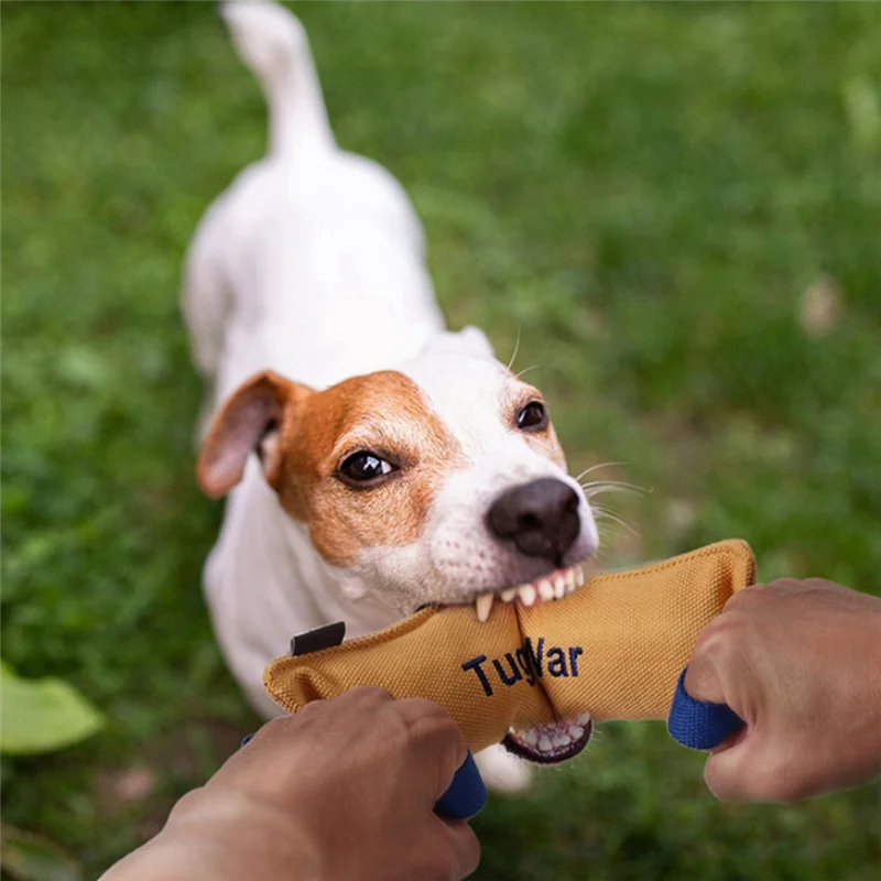 ABUN-Pet Toys, Dog Teeth Grinding, Bite-Resistant Toys,Pet Tug-Of-War,Bite-Resistant Toys To Relieve Boredom,Interactive Toys