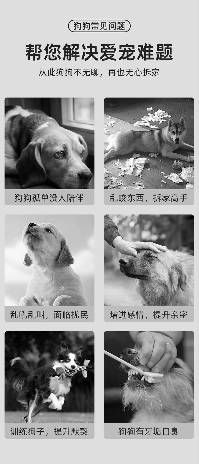 Dog Chew Toys for Small Medium Large Breed Puppies Durable Interactive Teething Chew Toys Best Birthday Gift for Pets