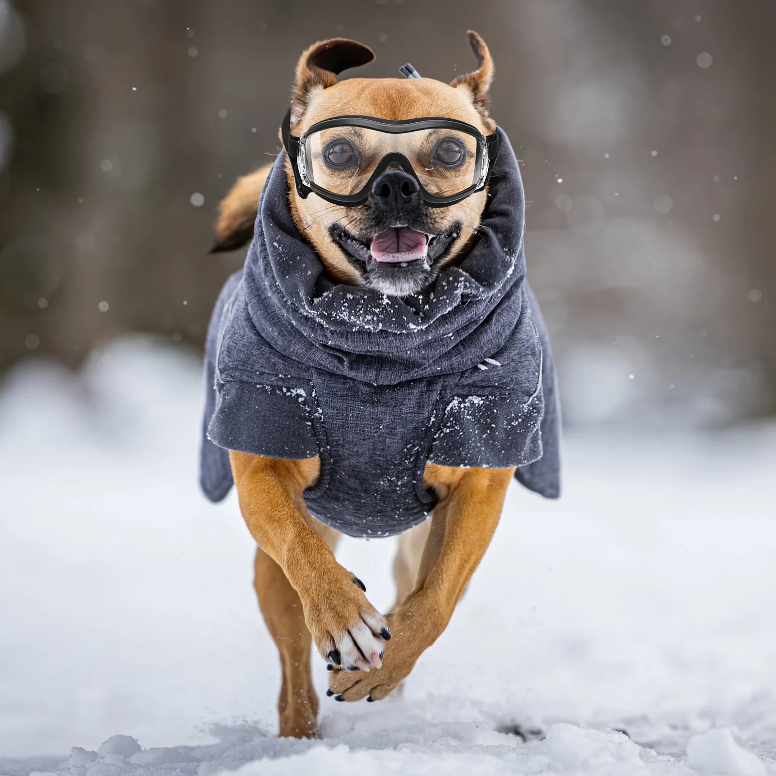 Outdoor Pet Goggles Clear Glasses UV Protection Sunglasses Dog Eye Wear Protective Pet Outdoor Goggles puppy Protective Goggles