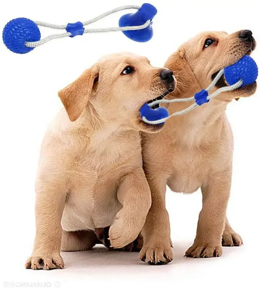 Pet Toys for Small Dogs, Rubber Dog Toy, Dog Push Toy with TPR Ball, Pet Tooth Cleaning Chewing Toy with Suction Cup
