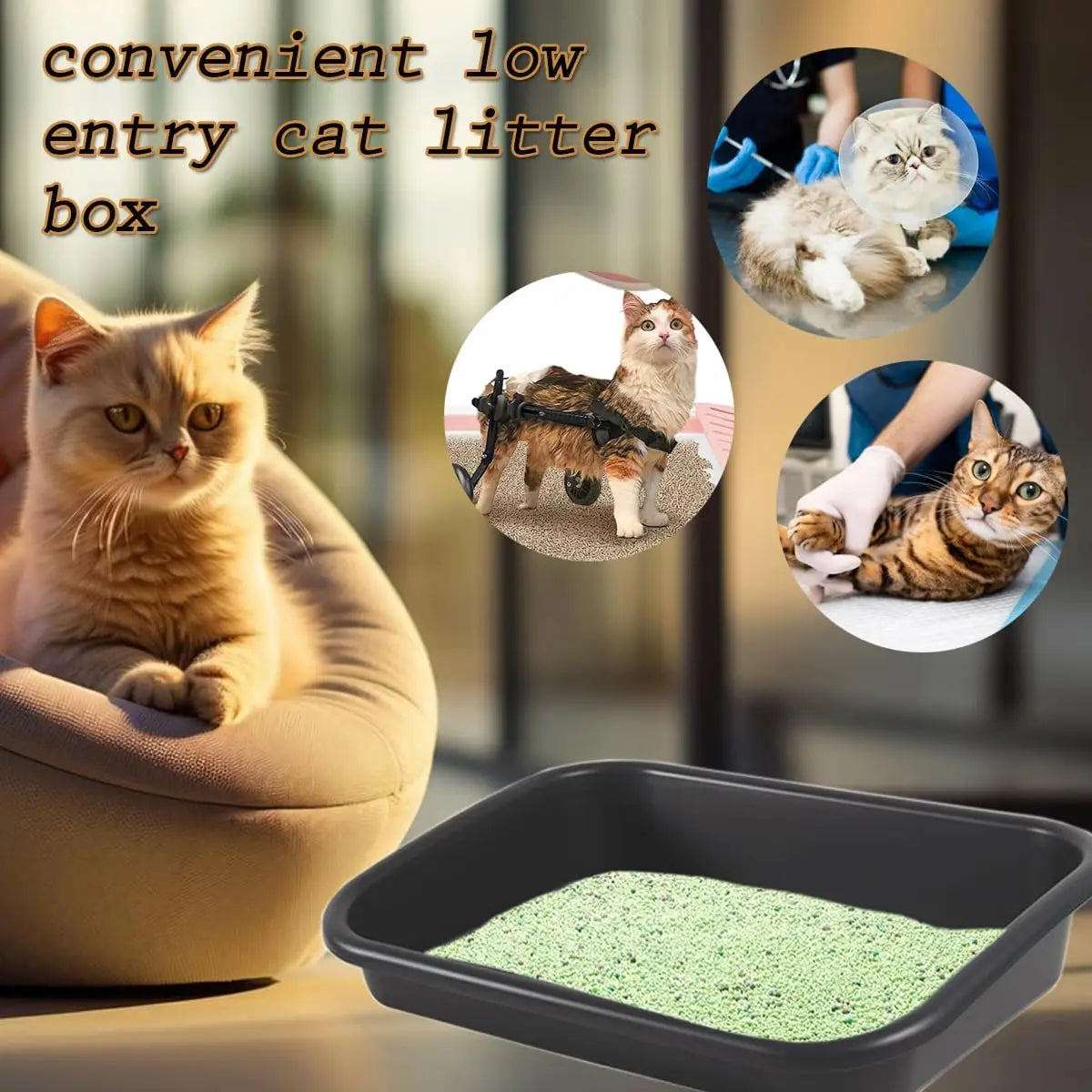 Premium litter box, oversized pet litter box Low entry open litter box, suitable for weak, elderly kittens, easy to clean