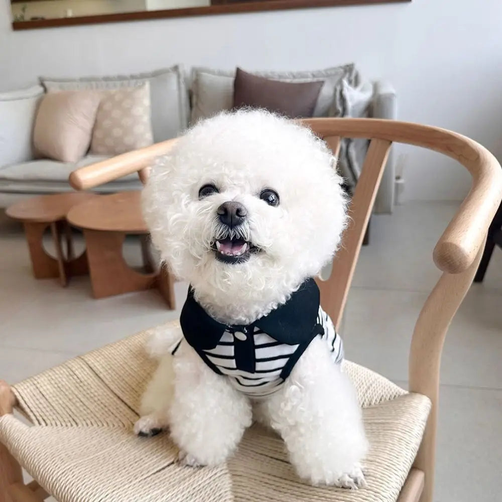Pet Couple Outfits Cute Dog Striped T-shirts Soft Breathable Pet Skirt Thin Design Cat Lapel Dresses for Puppy Kittens