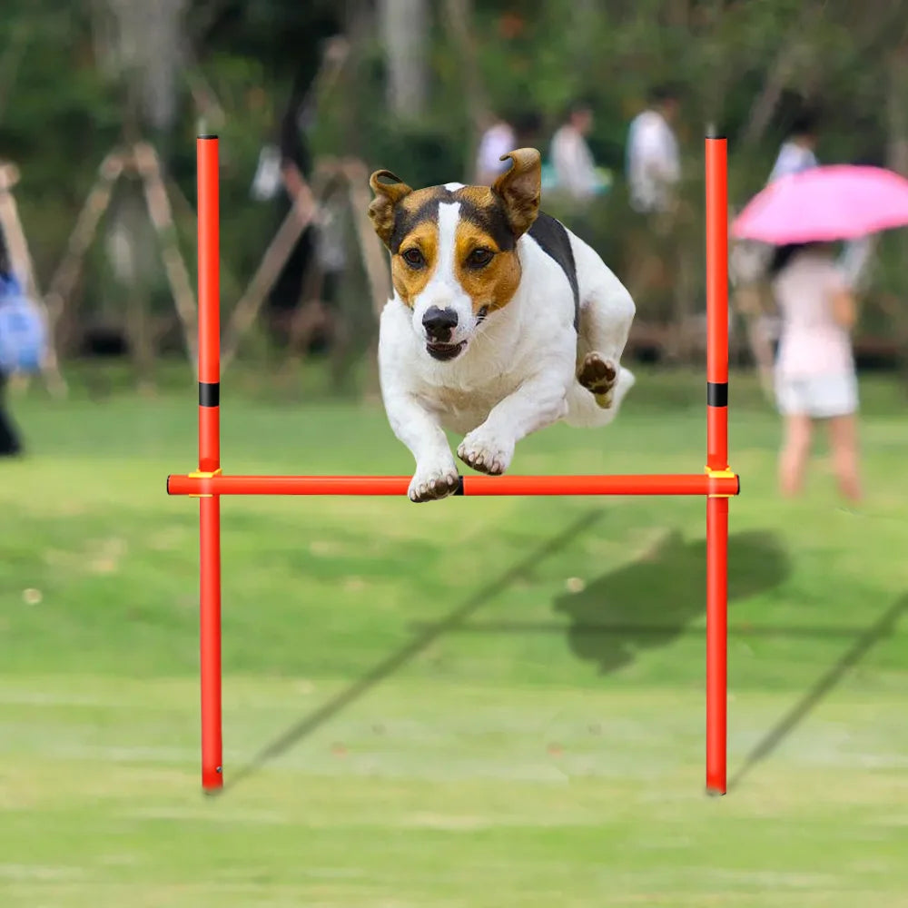 Dog Training Product Equipment Portable Dogs Jumping Tool Outdoor Dogs Running Stake Sports Stakes Pole Pet Agility Equipments