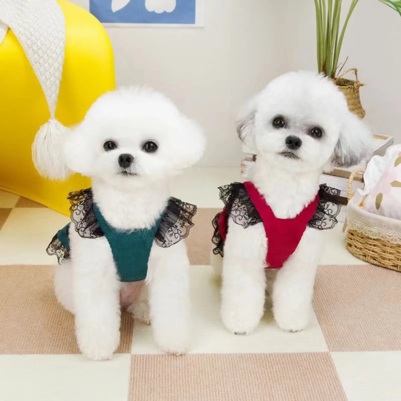 Summer Dress For Dog Pet Clothing Dog Lace Suspender Skirt Cats PUppy Cute Dog Costume Supplies Dogs Pet Clothes