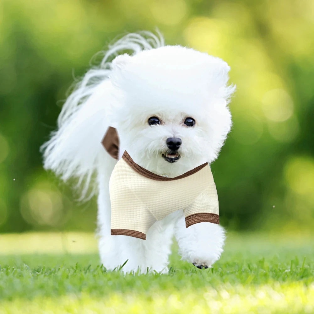 Dog Skirt Sweet Cute Small Fresh Thin Princess Dress Floral Dog Pet Dress Wedding Dresses Spring Summer Pet Dog Clothes