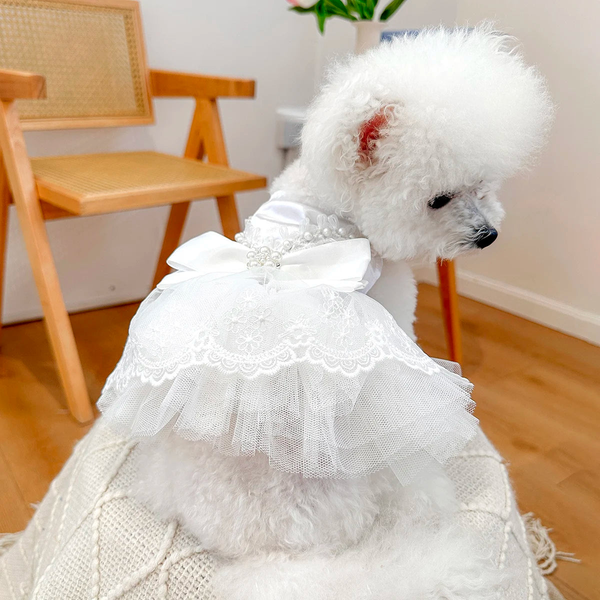 Pearlescent Wedding Dress Pet Clothes Dog Cat Anti-hair Loss Summer White Bow Princess Dress