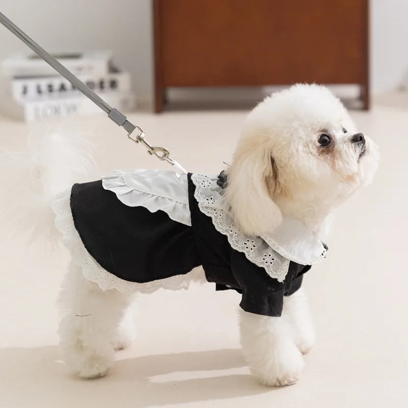 Pet Classic Maid Dresses Skirt Teddy College Style Dresses Small and Medium Dogs Summer Pullover Bichon Pretty Princess Dresses