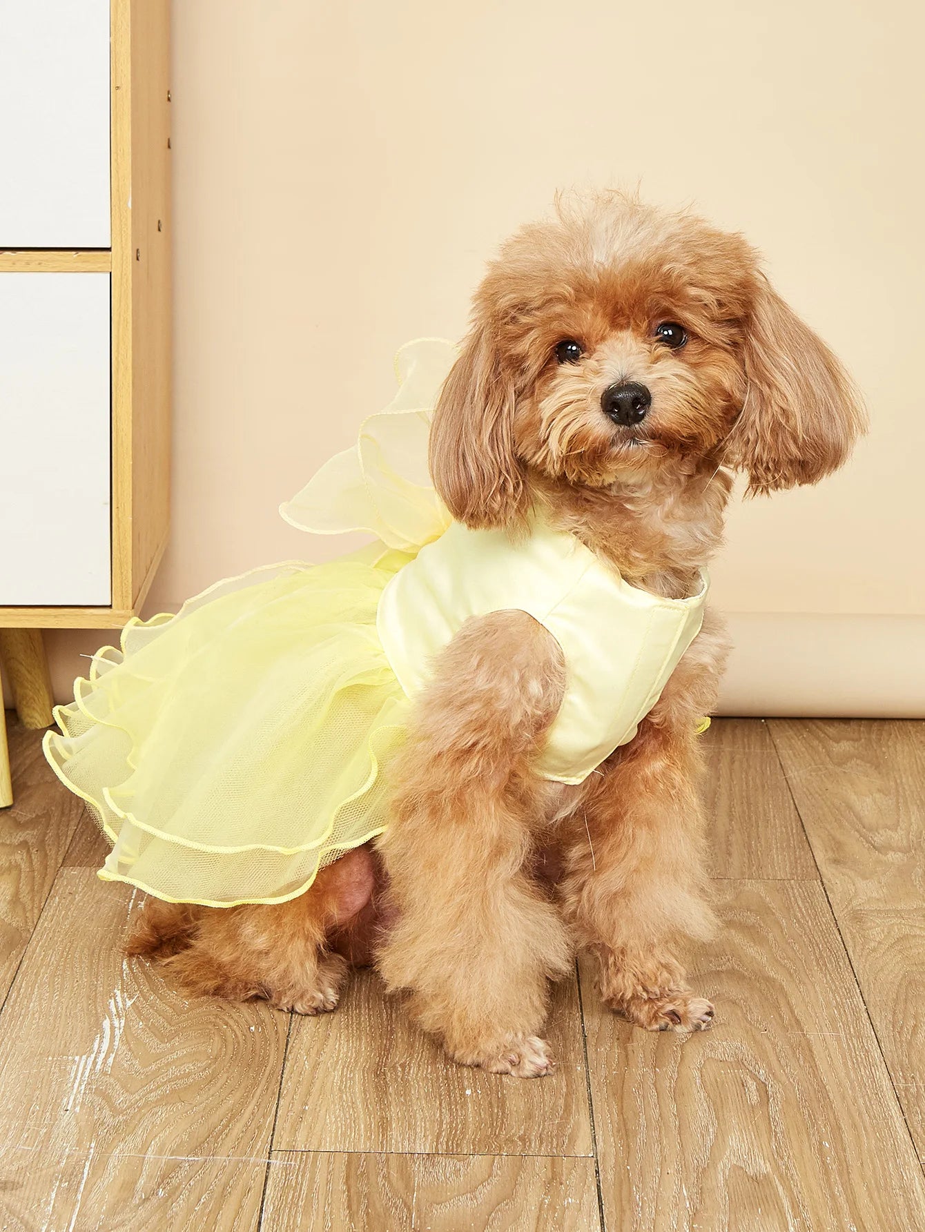 Pet Clothes Dog Wedding Dress Prom Party Princess Dresses for Small Dogs Luxury Dog Clothes Puppy Cat Costume White Pet Supplies