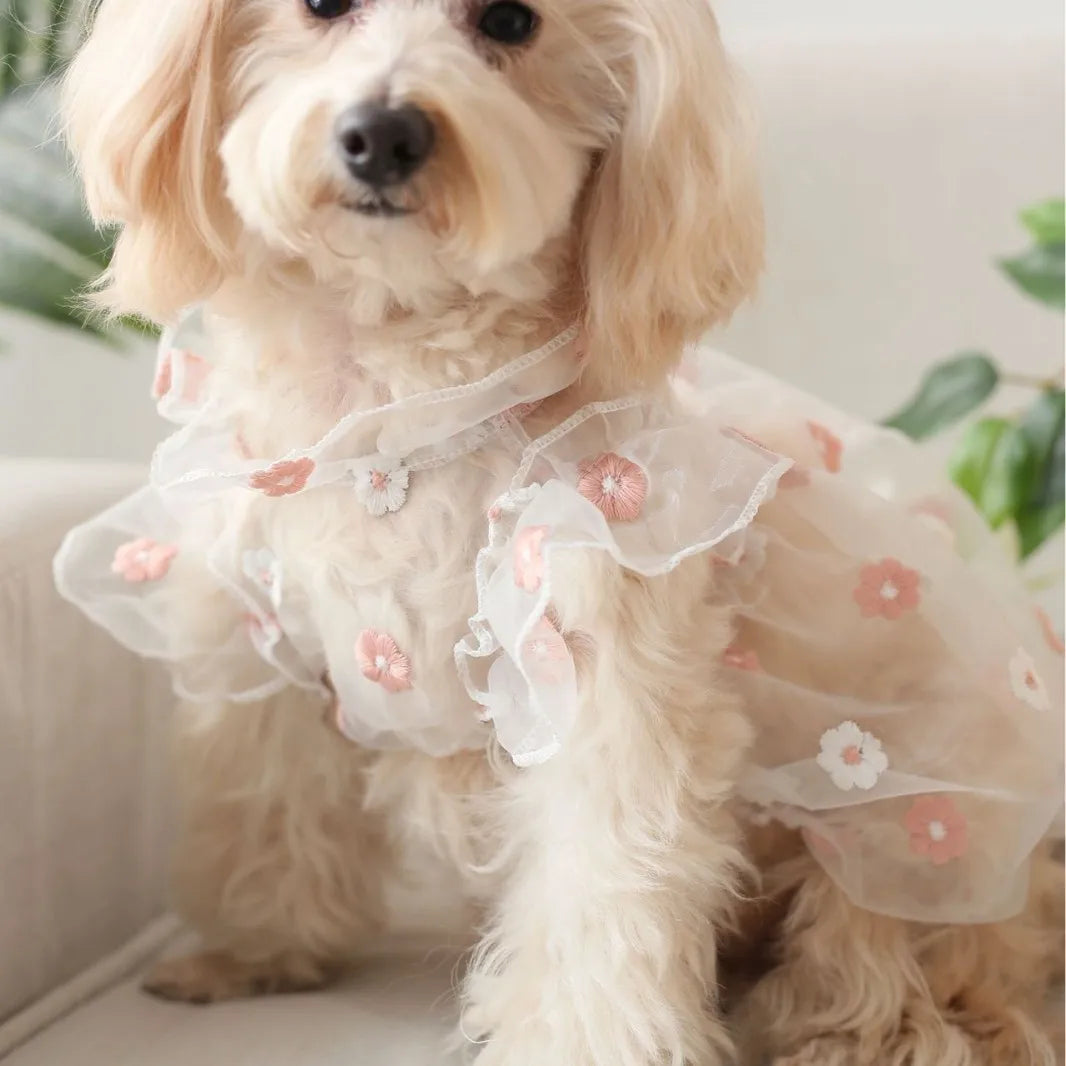 Pet Puppy Organza Embroidered Dasiy Pet Dress Summer Fashion Dog Teddy Cat Dress Chihuahua Pet Clothing