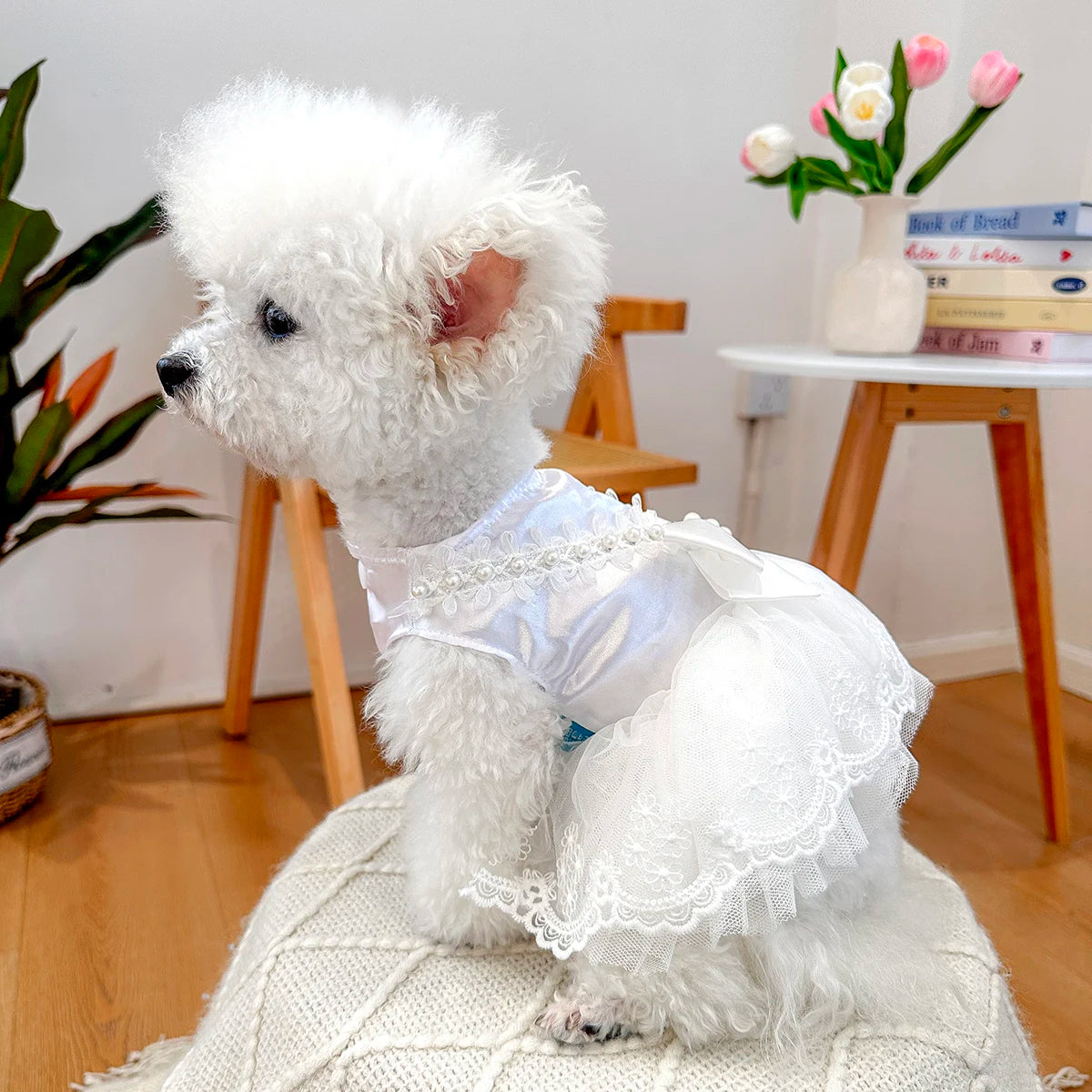 Pearlescent Wedding Dress Pet Clothes Dog Cat Anti-hair Loss Summer White Bow Princess Dress