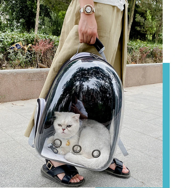 Pet Cat Carrying Bag Portable Pet Dog Carrier Bag Transparent Cat Carrying Bags Transport Carrier Space Capsule Bag Pets