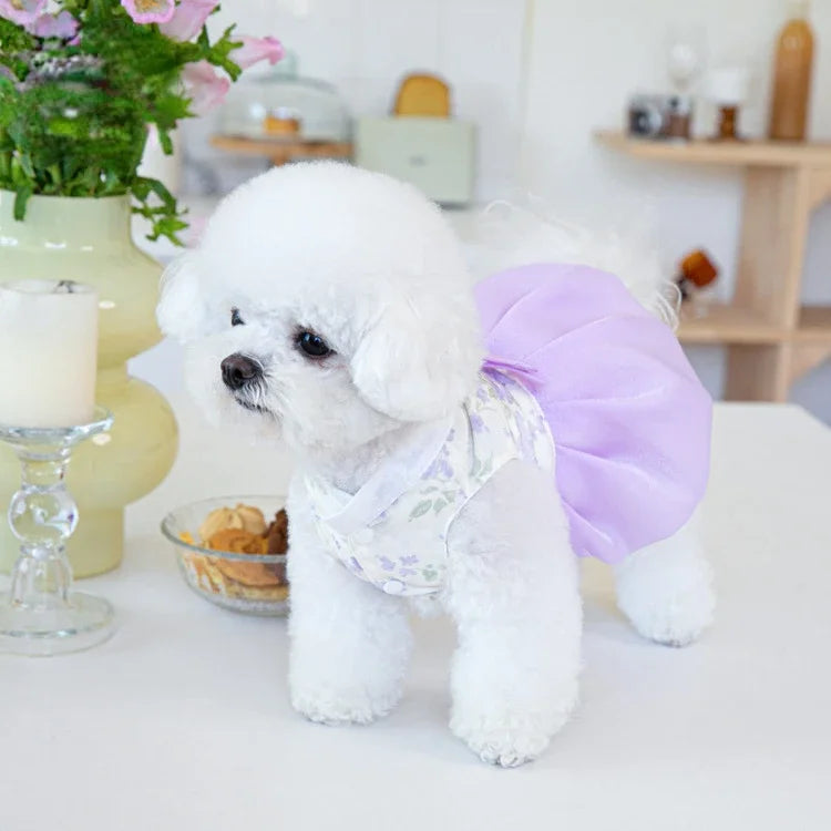 Pet Clothing Dog Dresses Pet Dress Clothing Pet Cat Dog Teddy Dress Fashion for Small Dogs Puppy Clothes Dog Clothes Designer