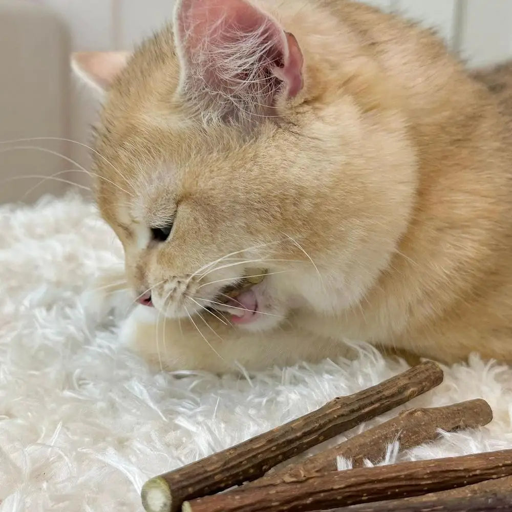 Teething Stick for Growing Puppies 14 Pieces Natural Teething Sticks Stress Relief Bully Sticks Chew Toys for Pet Dog Puppy Cat