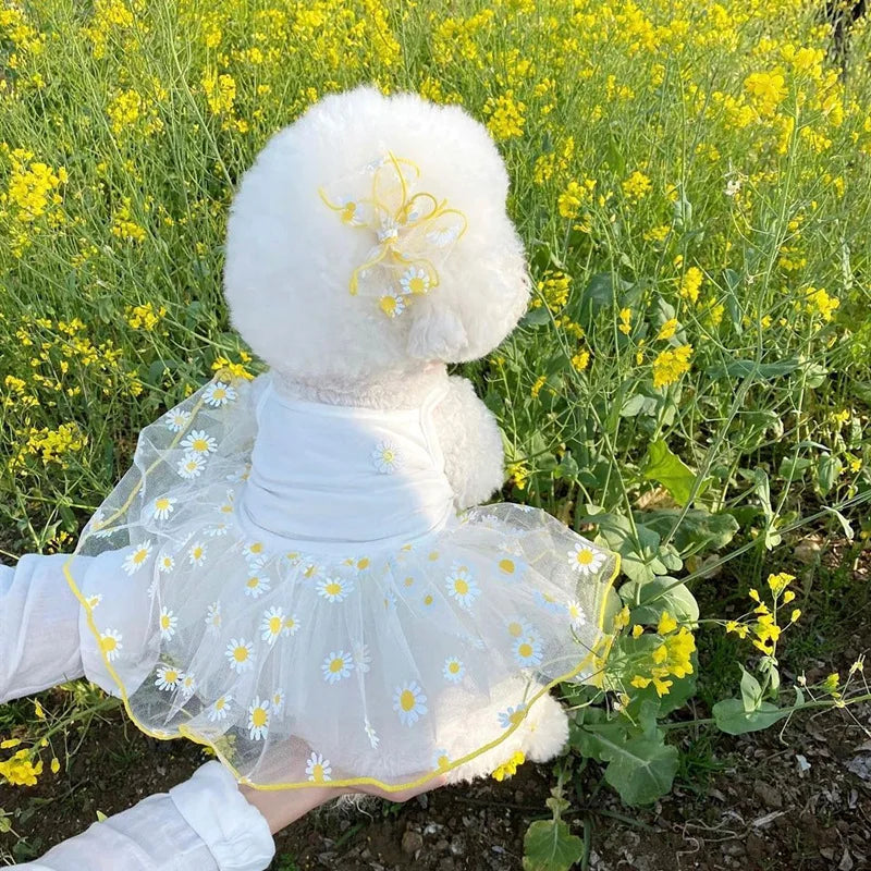 Cute Pet Dog Dress for Small Dogs Thin Puppy Princess Skirt Dog Clothes Chihuahua York Clothing Pet Supplies