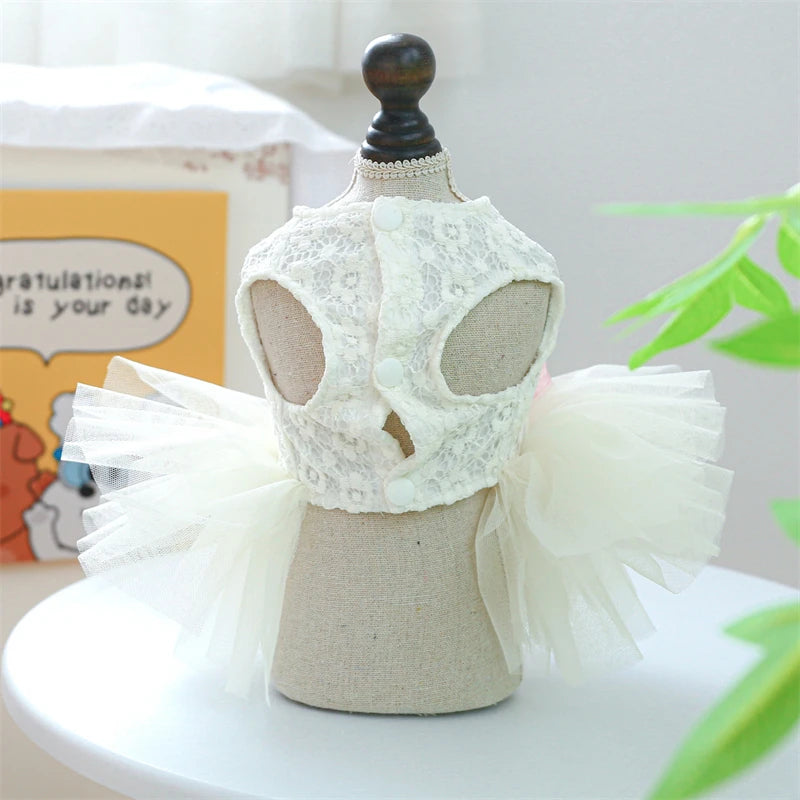 Wedding Dresses for Pets Chihuahua Designer Lace Veil Female Cat Clothes Bow Tie Tutu Skirt Rose Floral Yorkshire Puppy Clothing