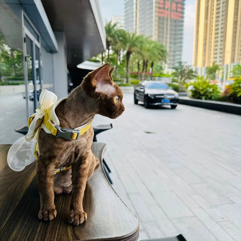 Cute Bowknot Pet Harness Leash Princess Cat Dress Costumes Nylon Kittten Dress Puppy Harness For Rabbit Teddy Cats Clothes