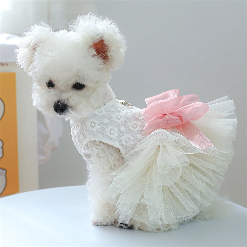 Wedding Dresses for Pets Chihuahua Designer Lace Veil Female Cat Clothes Bow Tie Tutu Skirt Rose Floral Yorkshire Puppy Clothing