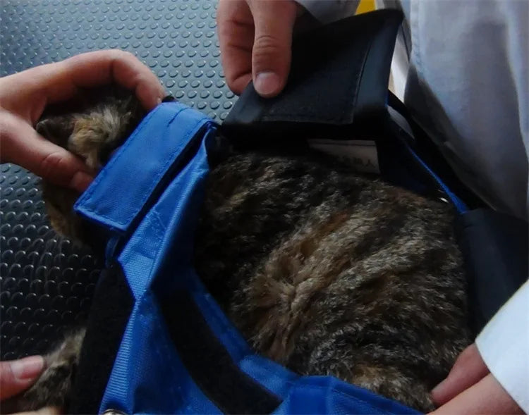 Portable and foldable pet carrying bag for cats, anti-scratch and bite, fixed cat bag for vaccination.
