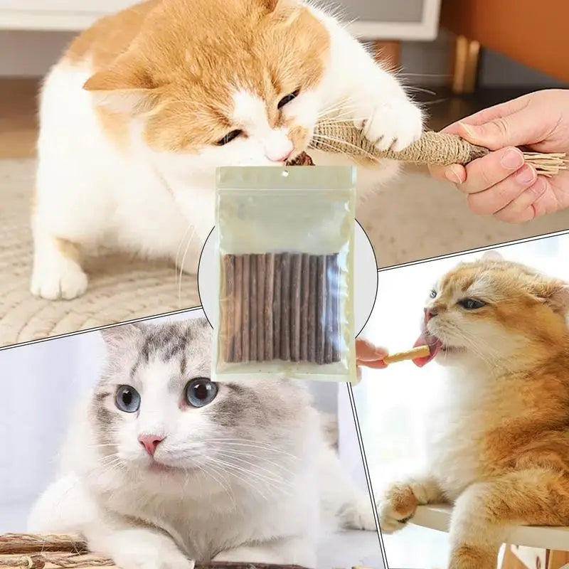 Teething Stick for Growing Puppies 14 Pieces Natural Teething Sticks Stress Relief Bully Sticks Chew Toys for Pet Dog Puppy Cat