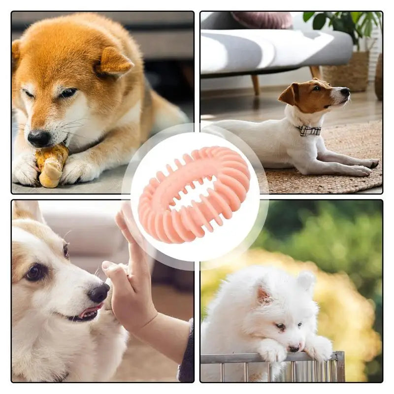 Teething Dog Toys For Puppies Interactive Rubber Dog Teething Toy Teething Rings Boredom And Stimulating Puzzle Toy Interactive