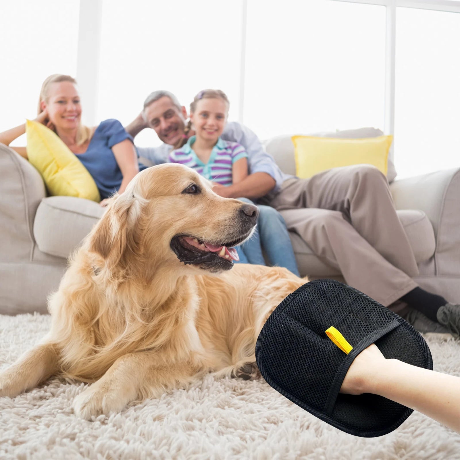 Pet Grooming Gloves Static Dedusting Brush Pet Hair Remover Brush Removing Dog Cat Hair From Sofa Carpet Clothes Tool Supplies