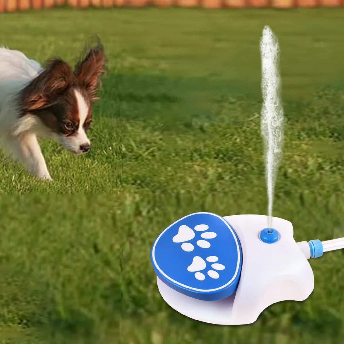 New Pet Outdoor Foot Pressure Automatic Water Dispenser Summer Outdoor Water Feeder Pet Products