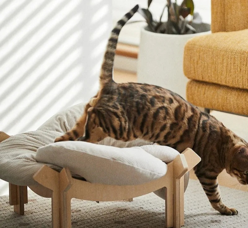 Petal Cat Bed Nest Mat Indoor Sleeping Cushion Small Dog Bed Nest Cats Portable Kitten Soft Beds Comfortable Pets Supplies