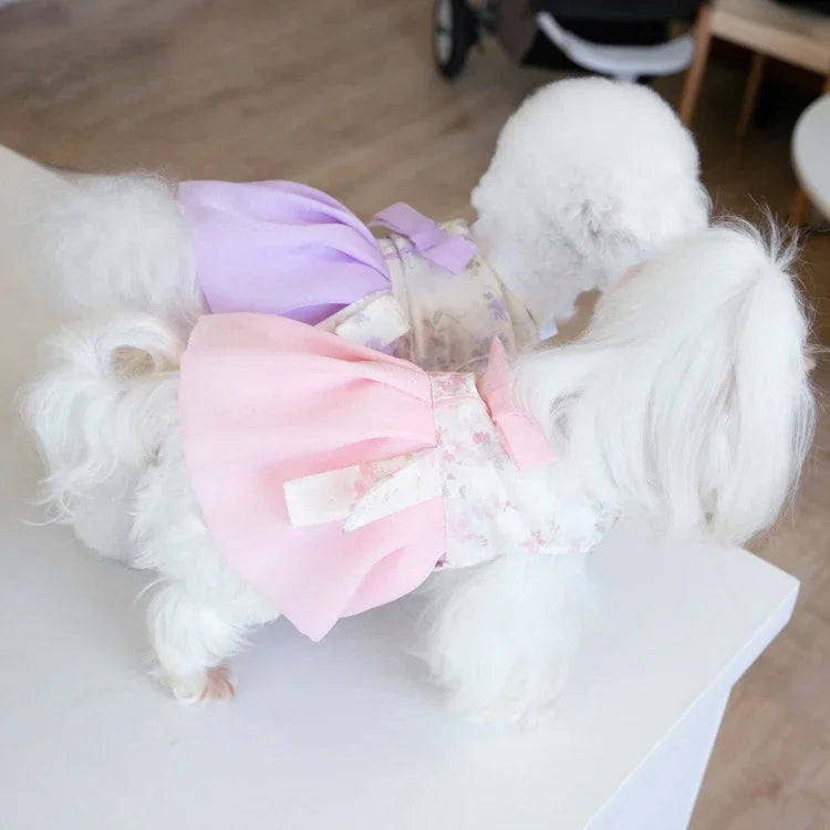 Pet Clothing Dog Dresses Pet Dress Clothing Pet Cat Dog Teddy Dress Fashion for Small Dogs Puppy Clothes Dog Clothes Designer