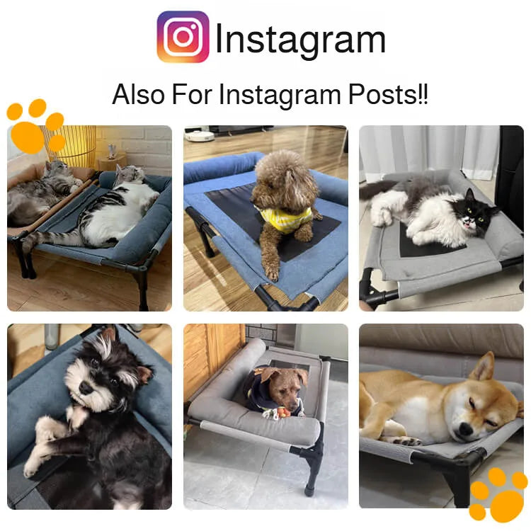 Pet Floor-Off Bed Breathable Mesh Pet Bed Four Seasons Universal Pet Bed Detachable And Washable Moisture-Proof And Waterproof