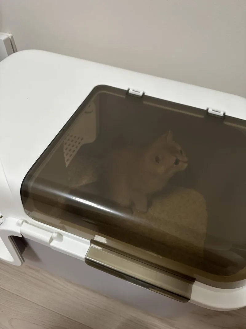 Large Cat Litter Boxes Corridor Style Design Enclosed Litter Tray Odor Splash-Proof Kitten Toilet Convenient Lid Pet Clean