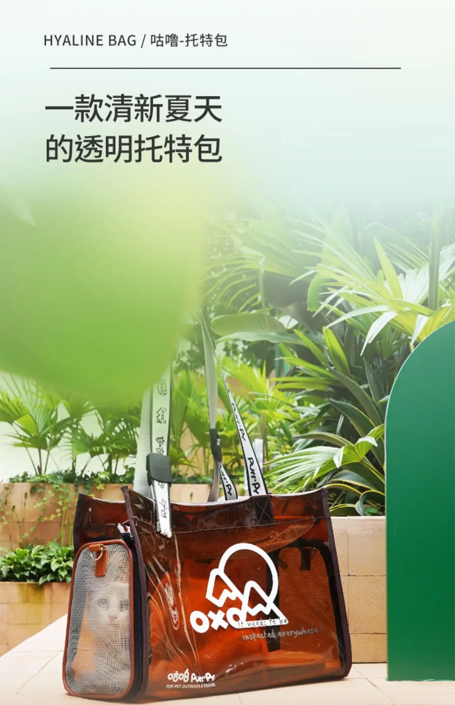 Pet bag Cat bag Portable going out Transparent schoolbag Carrying one-shoulder portable cat bag Dog dog