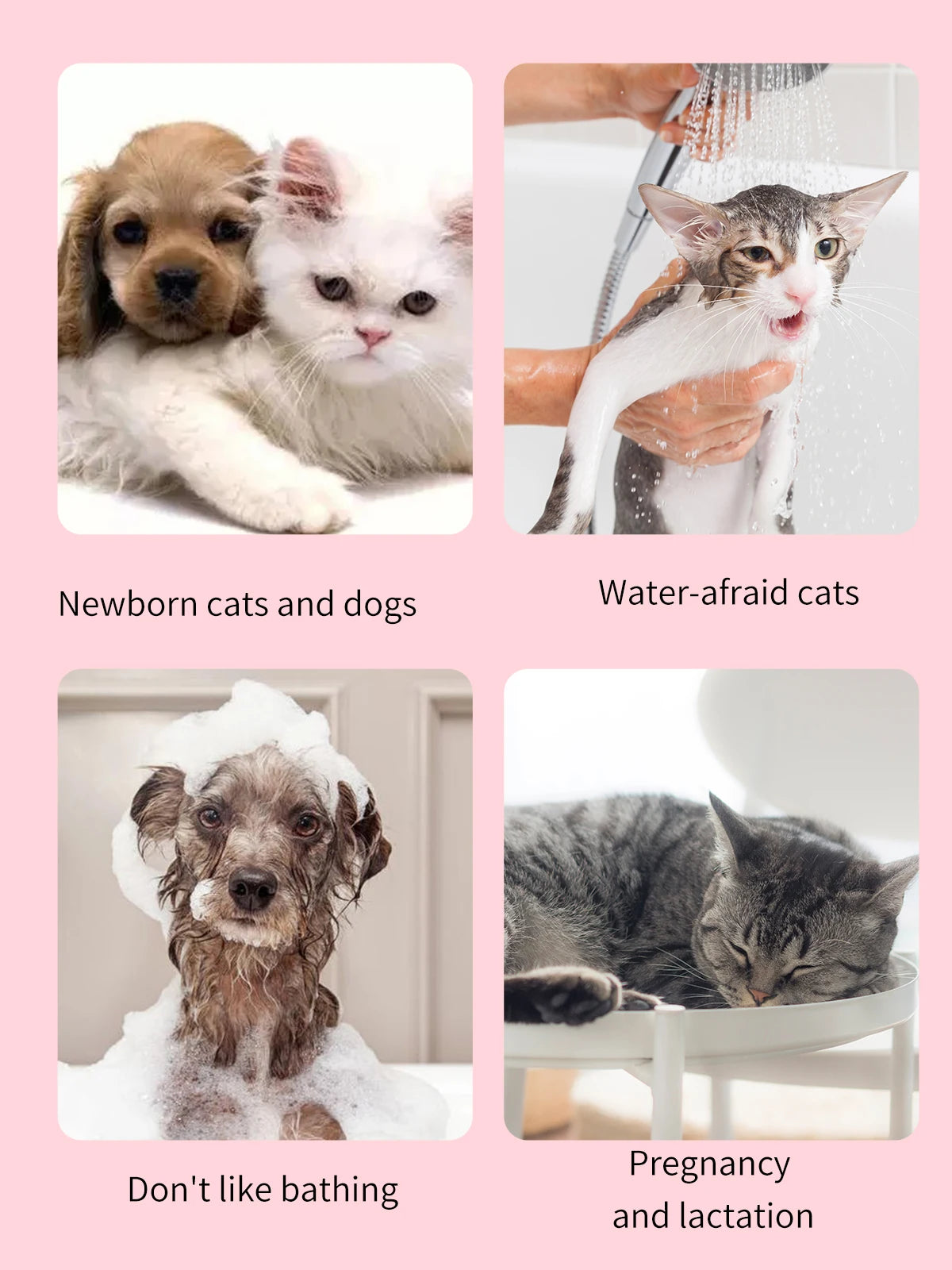 Pet Cleaning Gloves with Wipes 50Pcs ，2-in-1 Scrubber & Massager ，Dog Cat Grooming