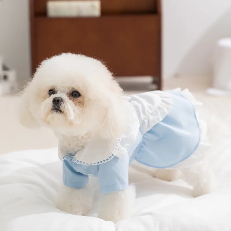 Pet Classic Maid Dresses Skirt Teddy College Style Dresses Small and Medium Dogs Summer Pullover Bichon Pretty Princess Dresses