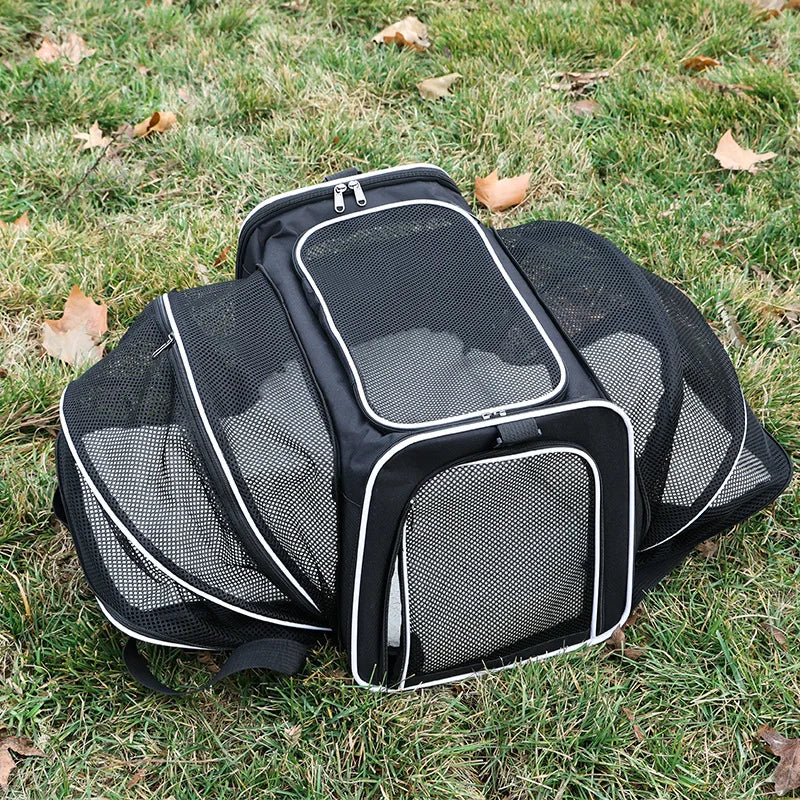 Pet bag Out carrying bag can be extended cat bag Large capacity Two small pets out carrying cat backpack