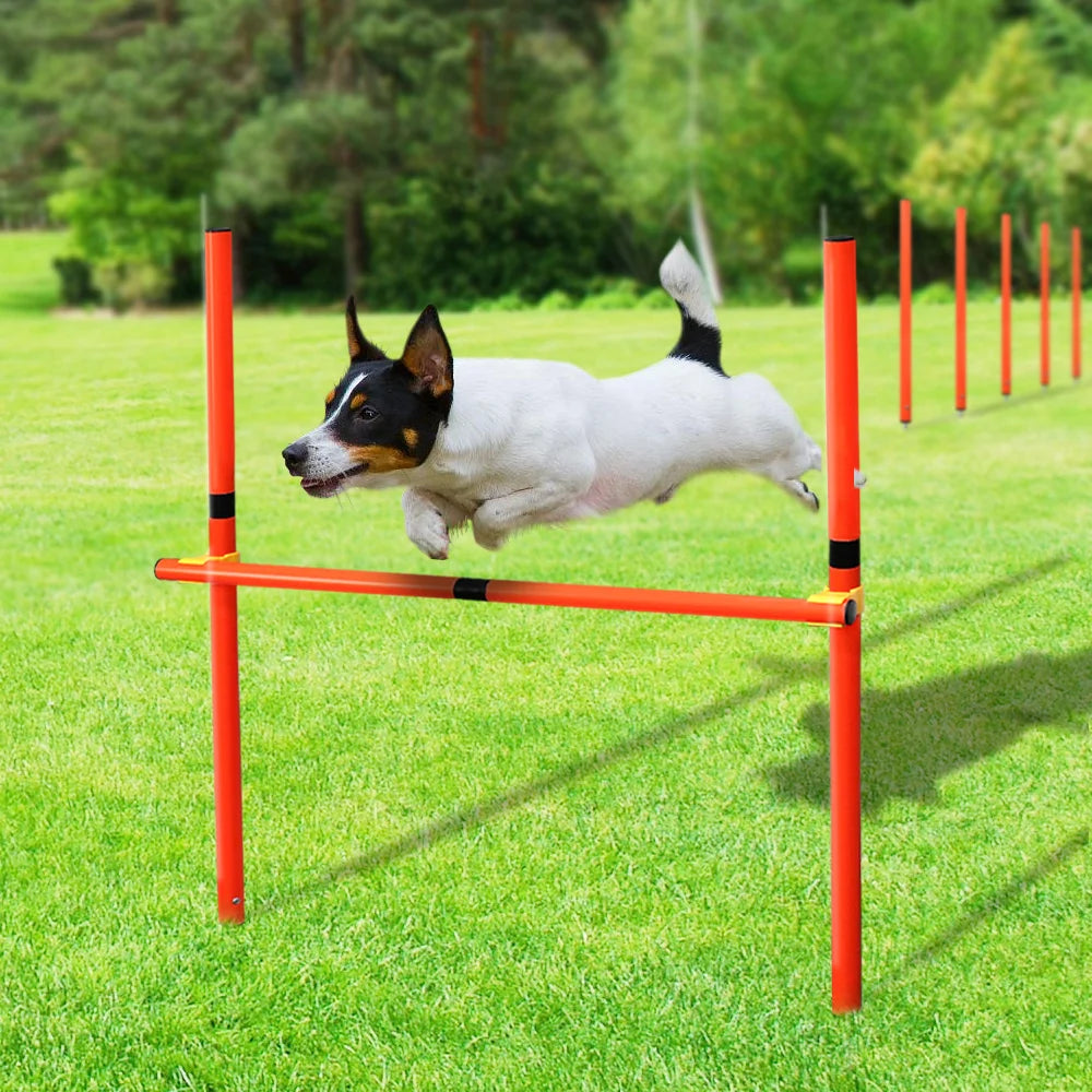 Dog Training Product Equipment Portable Dogs Jumping Tool Outdoor Dogs Running Stake Sports Stakes Pole Pet Agility Equipments