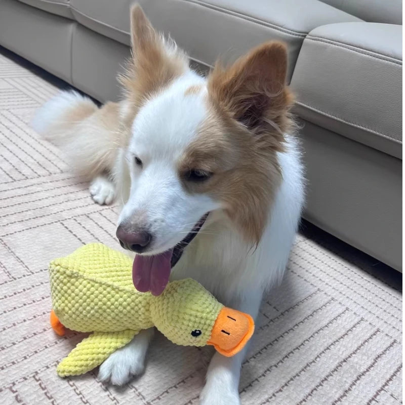 Dog Toys Great Way To Relieve Boredom Pet Puppy Dolls Self-Entertaining Vocal Teething And Durable Dog Products