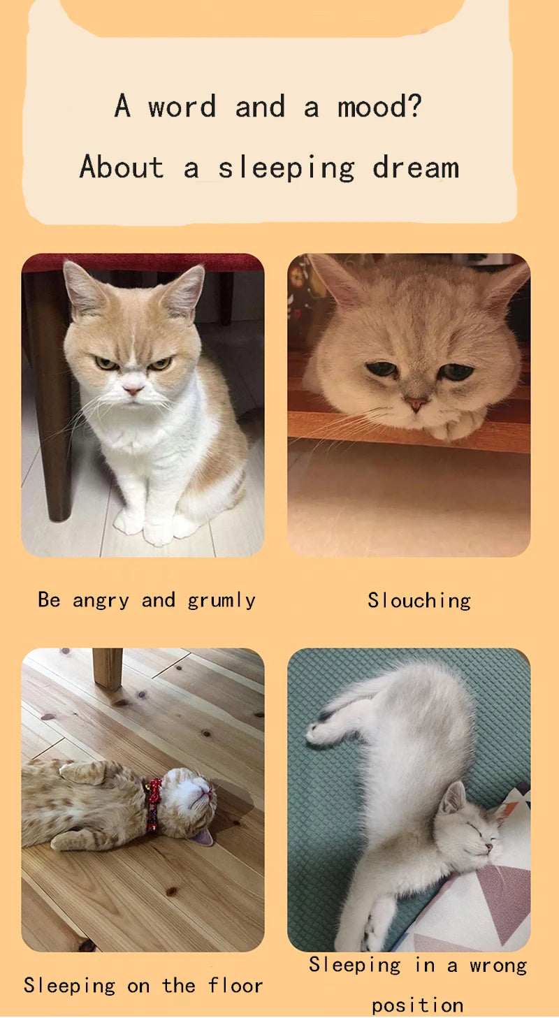 Cat Bed Wooden Cat And Dog Bed With Teddy Bear Pattern Indoor Pet Furniture Floor To Ceiling Bed(20*11inch)Comfortable Durable