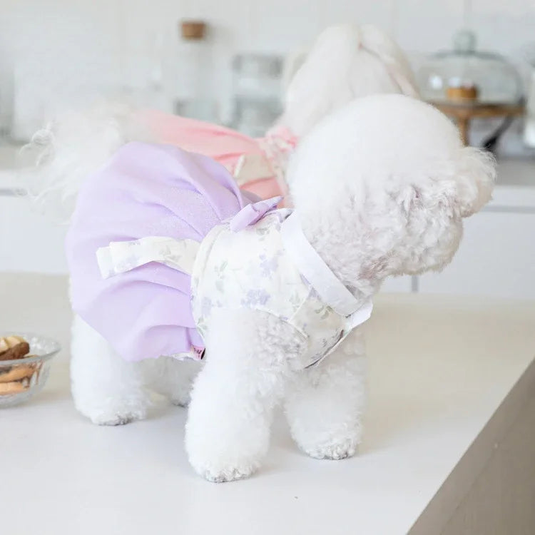 Pet Clothing Dog Dresses Pet Dress Clothing Pet Cat Dog Teddy Dress Fashion for Small Dogs Puppy Clothes Dog Clothes Designer