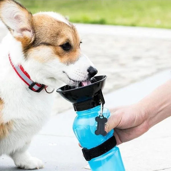 500ml Outdoor Portable Pet Dog Cat Water Bottle Extrusion Large Dog Travel Water Cup Drinking Water Feeder Bowl for Pet