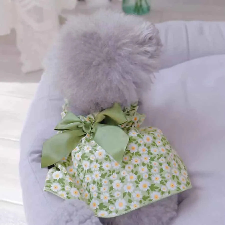 1pc Pet Dress Romantic Style Dog Summer Dress Cat Skirt With Green Floral Print, Small Dog Clothes Pet Clothing Chihuahua Skirt