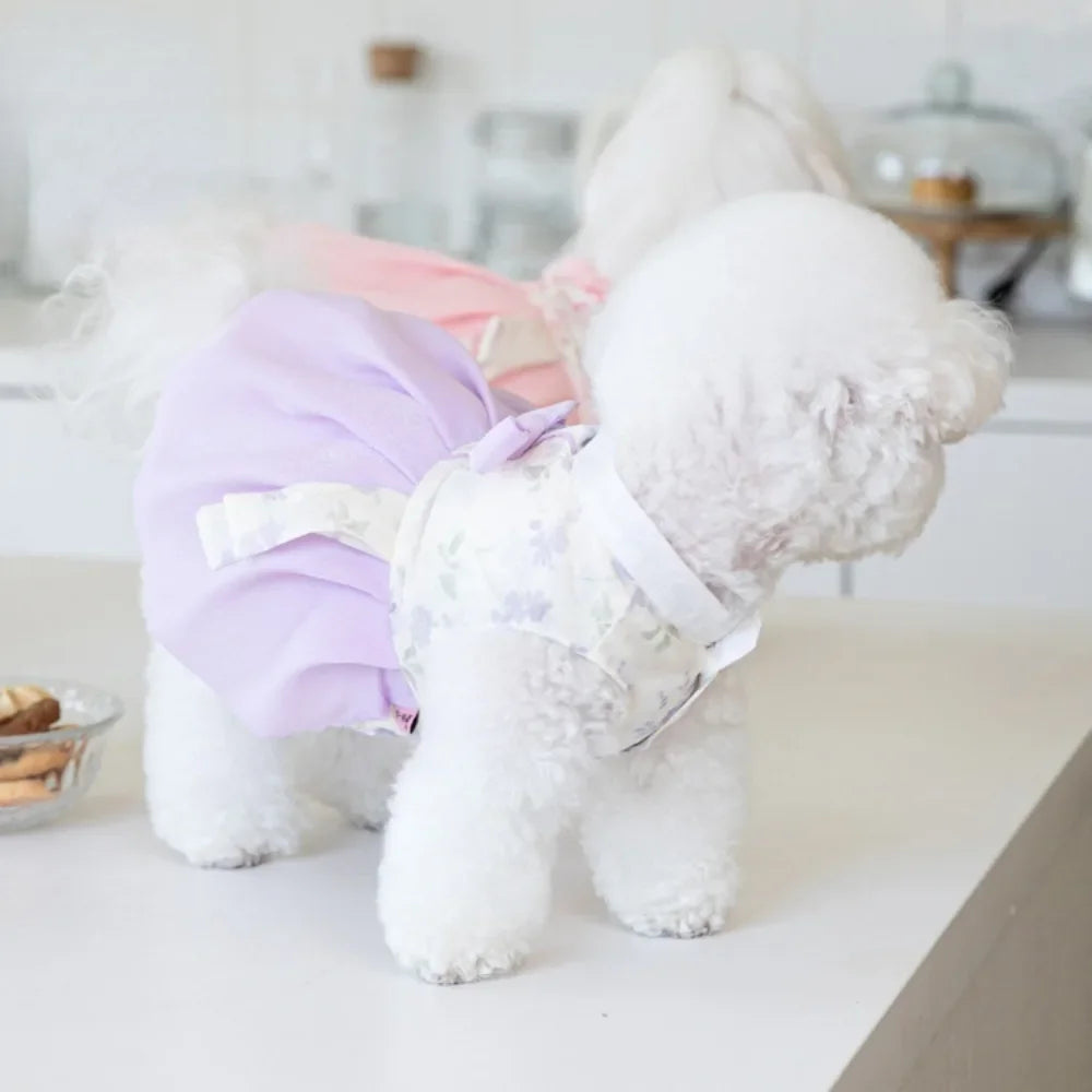 Pet Clothing Dog Dresses Pet Dress Clothing Pet Cat Dog Teddy Dress Fashion for Small Dogs Puppy Clothes Dog Clothes Designer